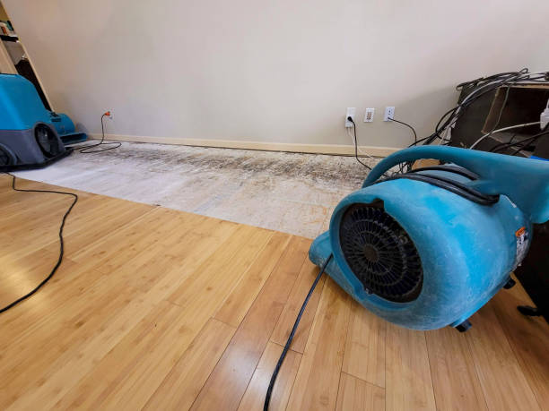 Professional Basement Flood Cleanup technician working in Mirror Lake, NH